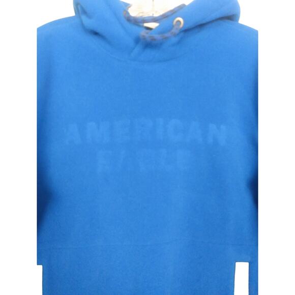 American Eagle Outfitters Mens Blue Polar Fleece Hoodie Pullover Sweatshirt Sz.M - Picture 2 of 5